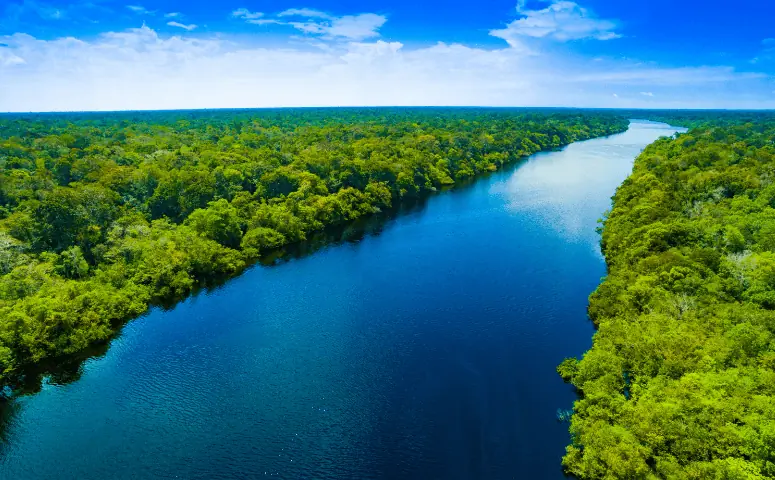 amazon river surrounded by jungle